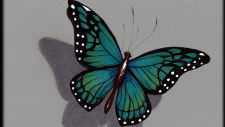 Реалистичное изображение бабочки