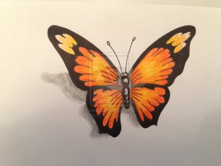 3д бабочка карандашом