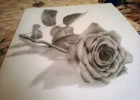 3д цветы карандашом
