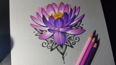 Лотос цветными карандашами