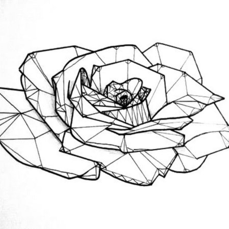 Цветы геометрия