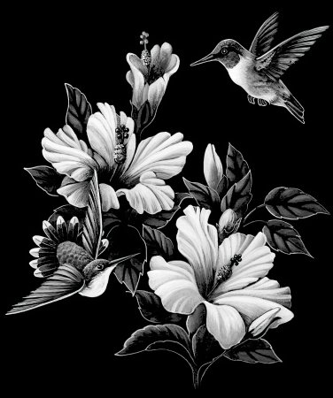 Монохромные цветы