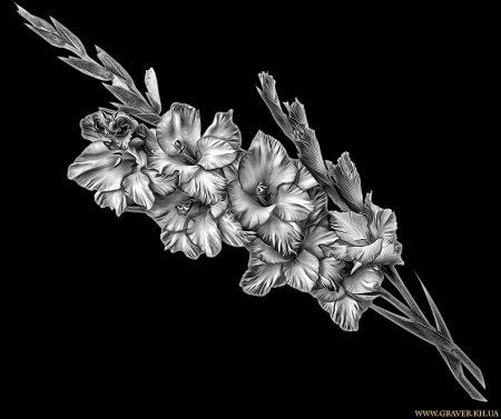 Цветы для гравировки