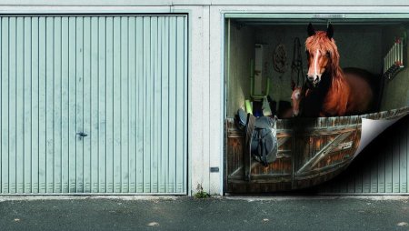 3d рисунки на гаражных воротах