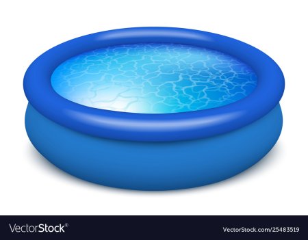 Бассейн надувной vector