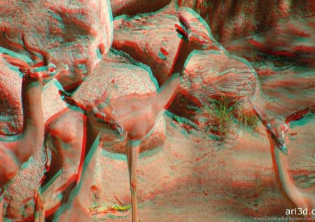 3d картинки