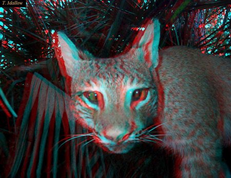 Анаглифные 3d очки анаглифные