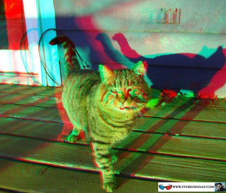 3d анаглиф