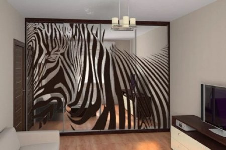 Шкаф купе Зебра