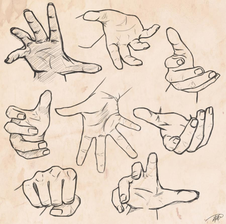 Скелет ладони с пальцами