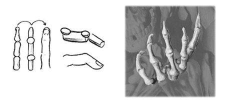 Костлявые руки референс