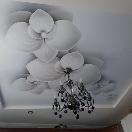 Натяжные потолки с фотопечатью