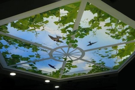 Натяжные потолки с фотопечатью