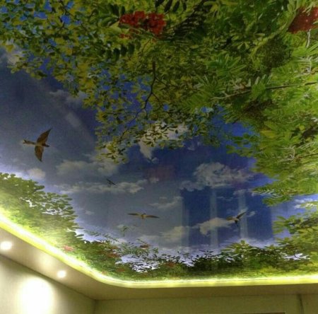 Натяжные потолки фотопечать природа