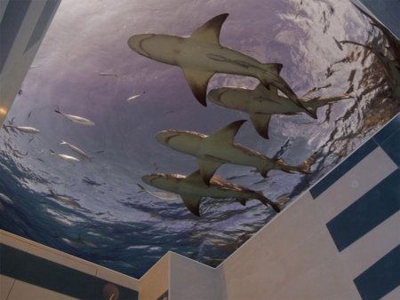 Натяжные потолки 3д фотопечать