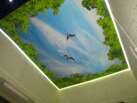 Натяжные потолки с принтом