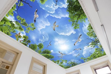 Натяжные потолки с фотопечатью