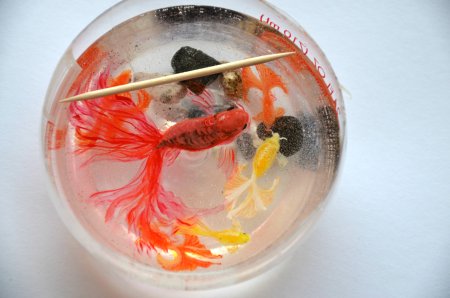 Карп кои в эпоксидной смоле