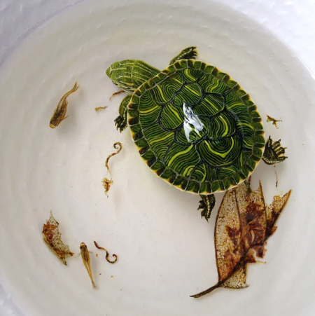 Художник Keng Lye.