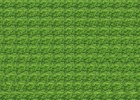 Стереограммы для гимнастики для глаз