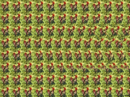 Стереограммы Юлеша