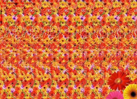 Магия третьего глаза трехмерные стереокартинки Тома Баччи