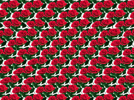 Стереограммы и стереокартинки