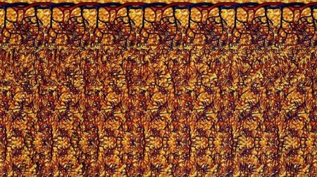 Стереокартинка верблюд