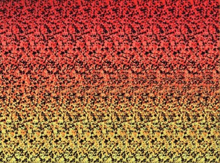 Стереограмма Король Лев