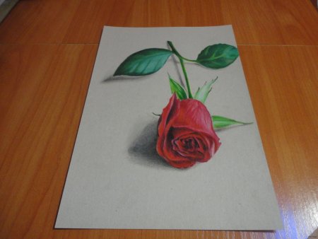 3д цветы карандашом