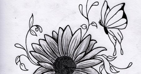 Рисунок из трёх цветов карандашом