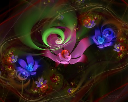 Цветок Сильвия Кордедда