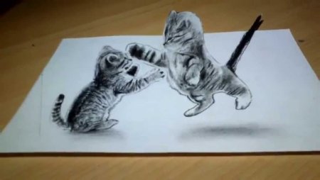 Коты на бумаге