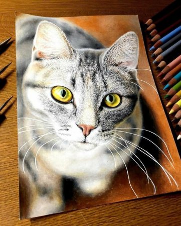 3 Д кошка рисунок