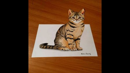 Рисунки котов
