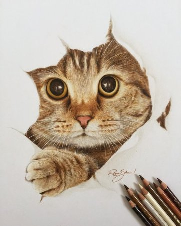 3д кот рисунок
