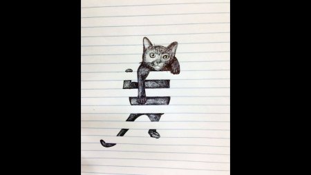 Объемный рисунок кота