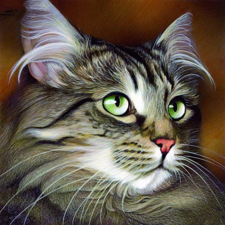Красивый рисунок кошки карандашом