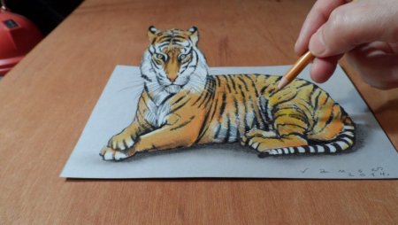 3d рисунки карандашом