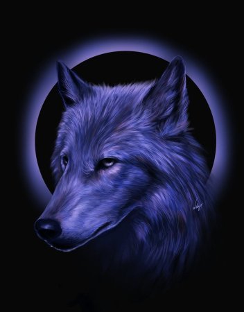 3d обои волк