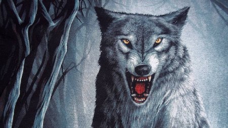 Картинки Волков на рабочий стол