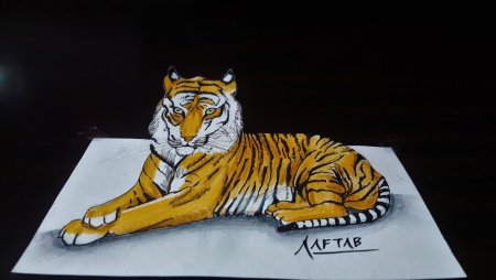 Тигр нарисовать