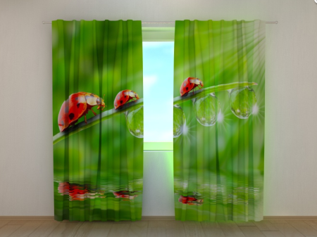 Фотошторы Божьи коровки