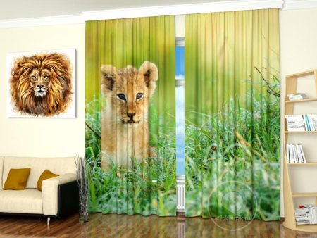 Фотошторы Львенок