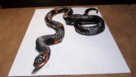 Змея карандашом реалистично