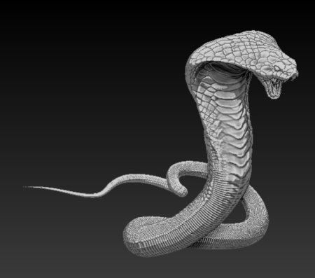 Cobra 3d model