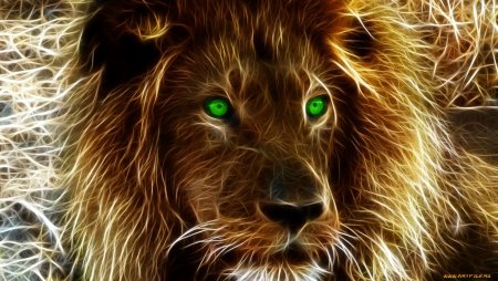 Лев черно белый рисунок