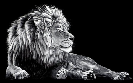 Львиные глаза