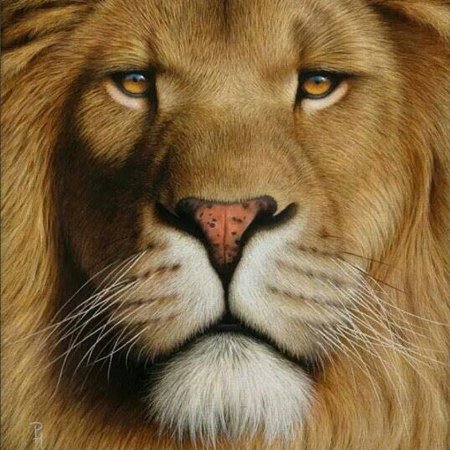 Симба поделка