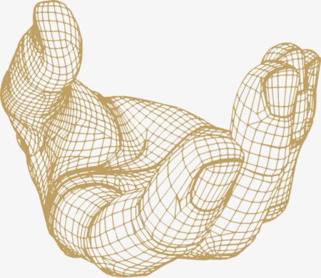 3d сетка руки